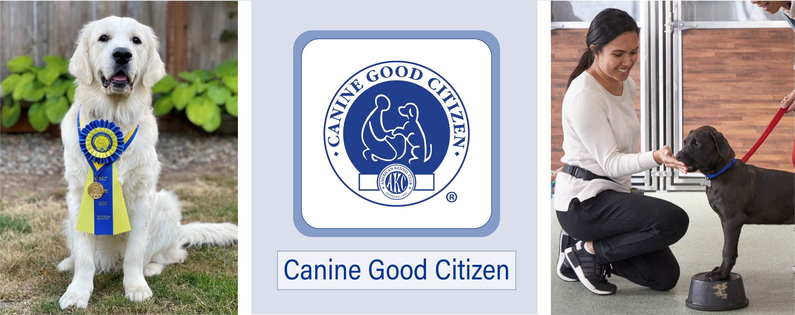 what does the canine good citizen test consist of