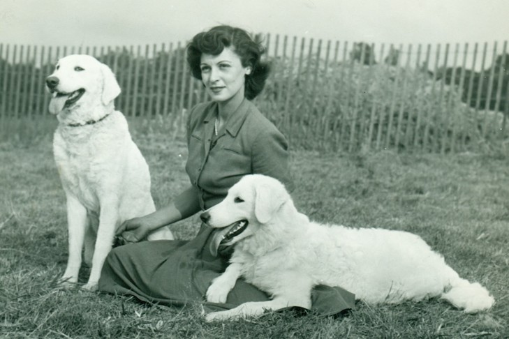 Kuvasc historical image