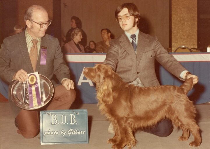 Field Spaniel History A Type Brought Back From Extinction