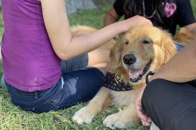 Gabriel Comfort Dog Chalk on the Block Uvalde Town Square