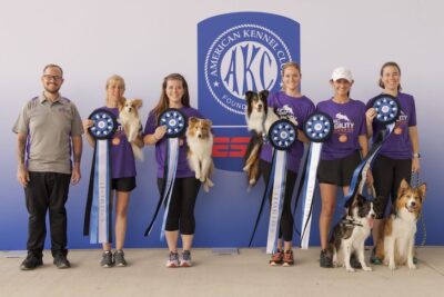 AKC Agility Premier Cup Winners