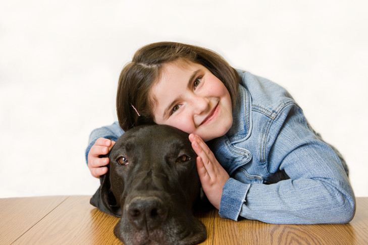 Great Dane being cuddled by a girl at the table.