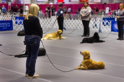2022 AKC National Championships Obedience Classic