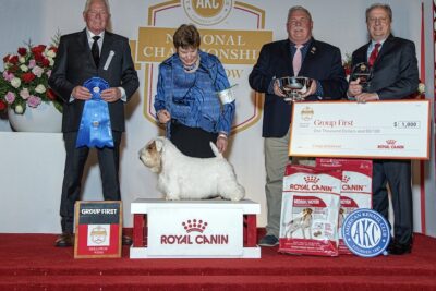 American Kennel Club visual data 5