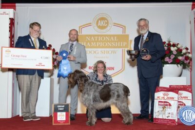 American Kennel Club visual data 7