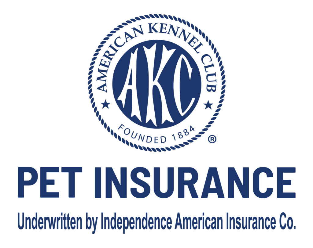 AKC Agility League™ American Kennel Club