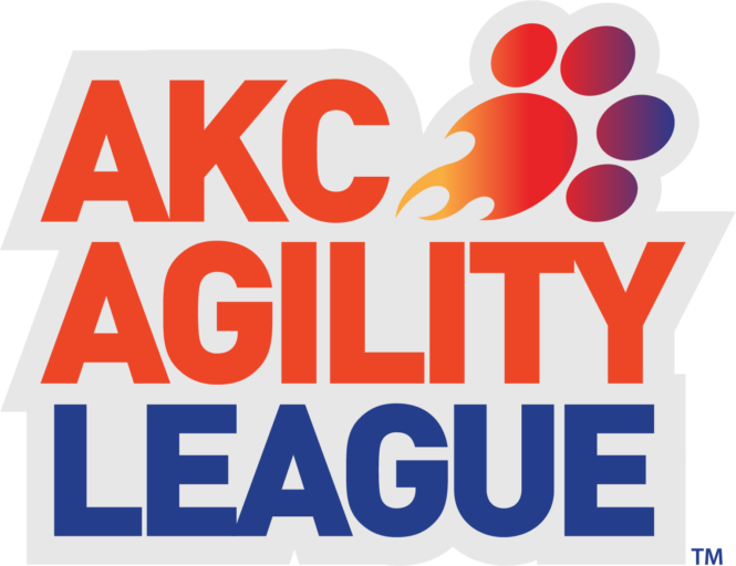 How to get started in akc agility league american kennel club