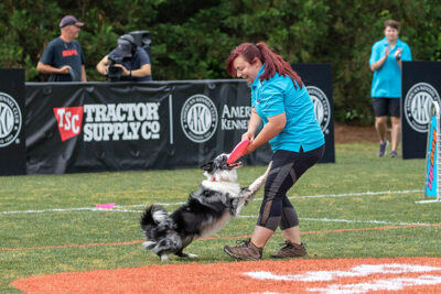 Gengar playing tug-o-war with the disc with Amanda.