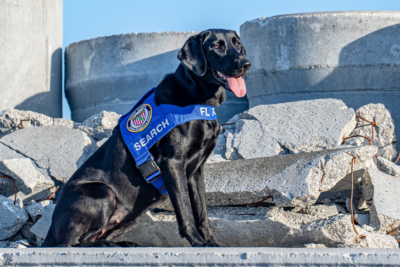 Porsche sitting near rubble.
