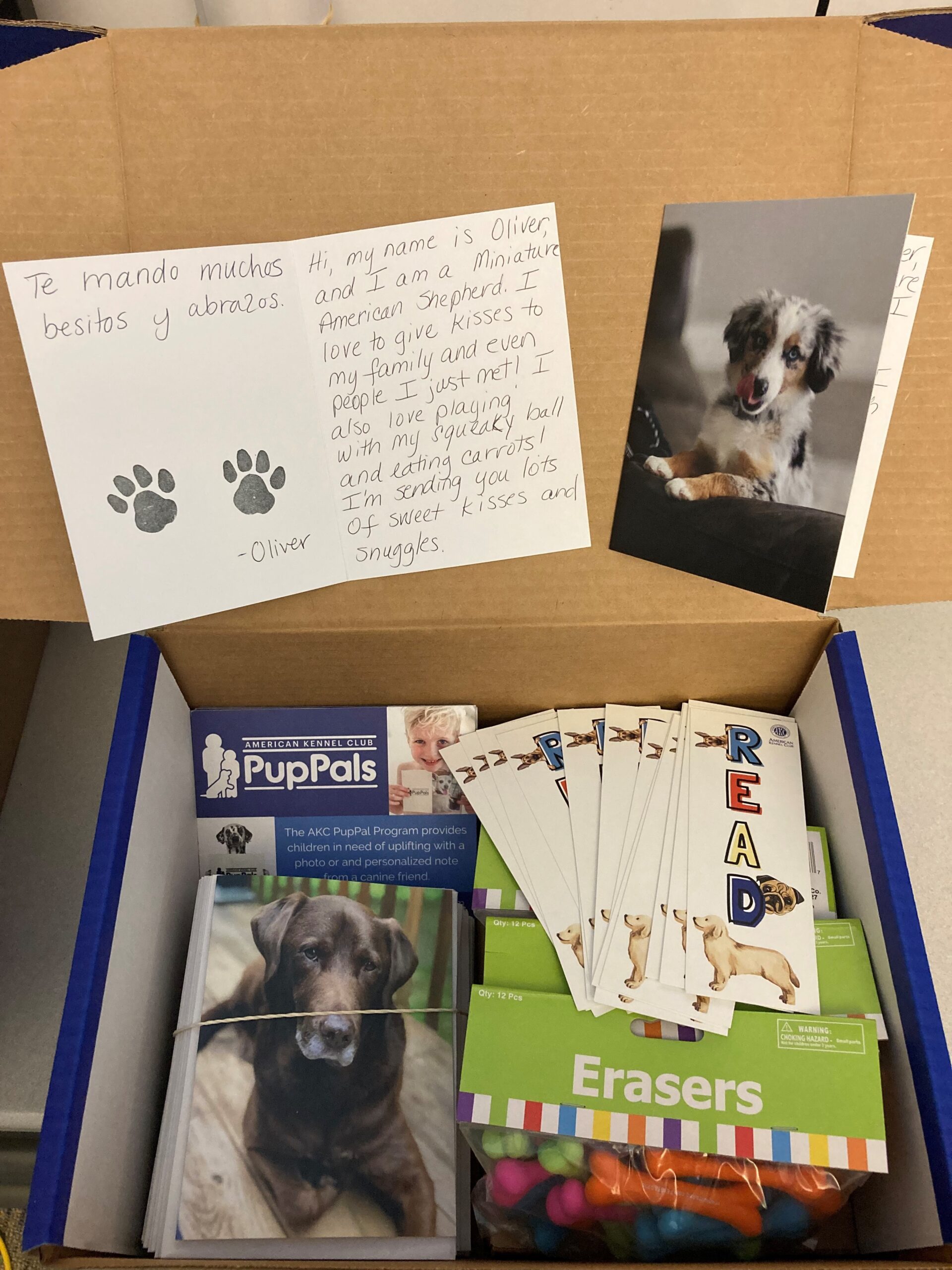 Volunteer American Kennel Club