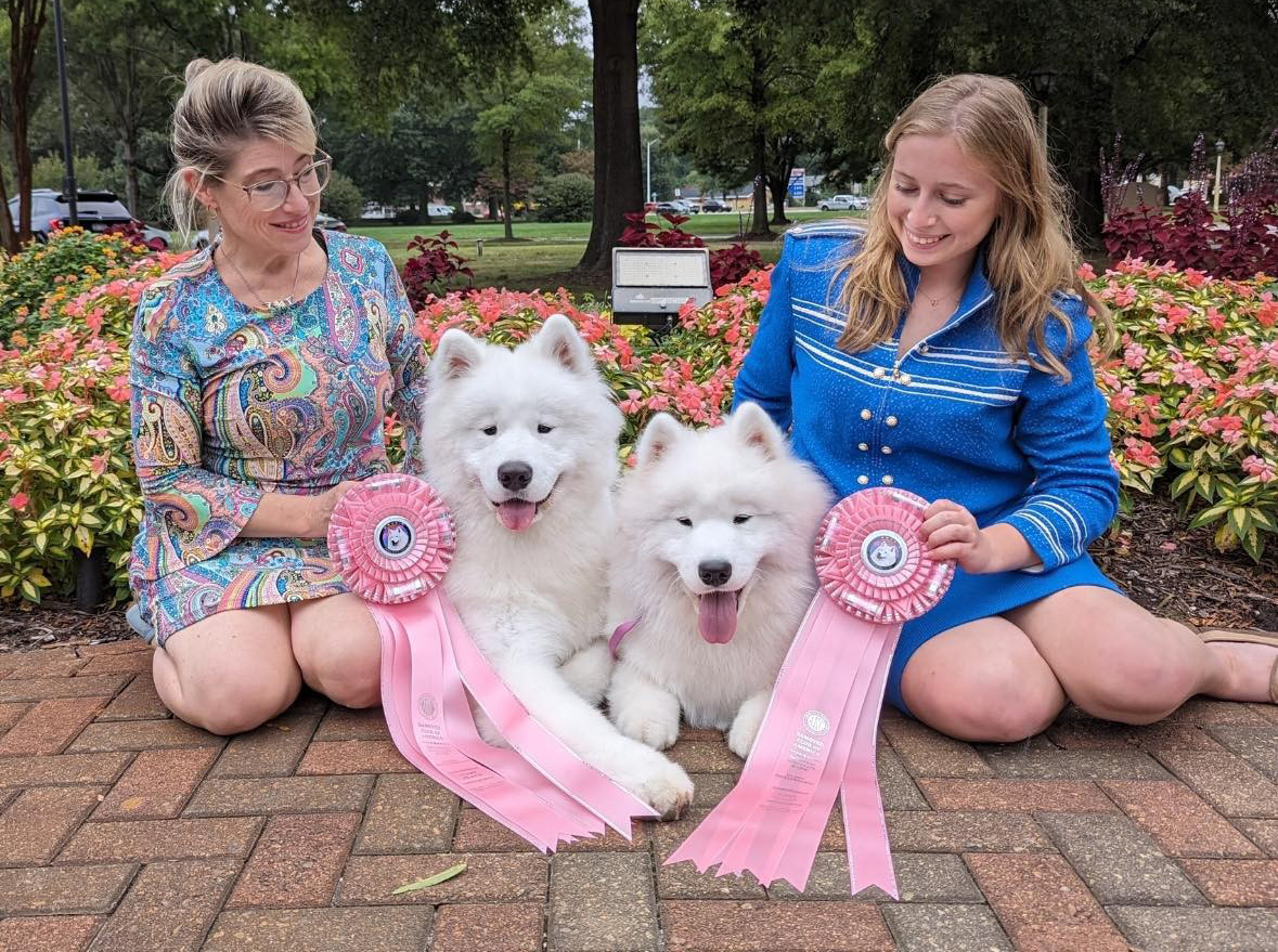 AKC Breeder Spotlight Terri & Rachel Sigulinsky of Snowbright Samoyeds