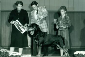 Rottweiler History: Where the Breed Originated