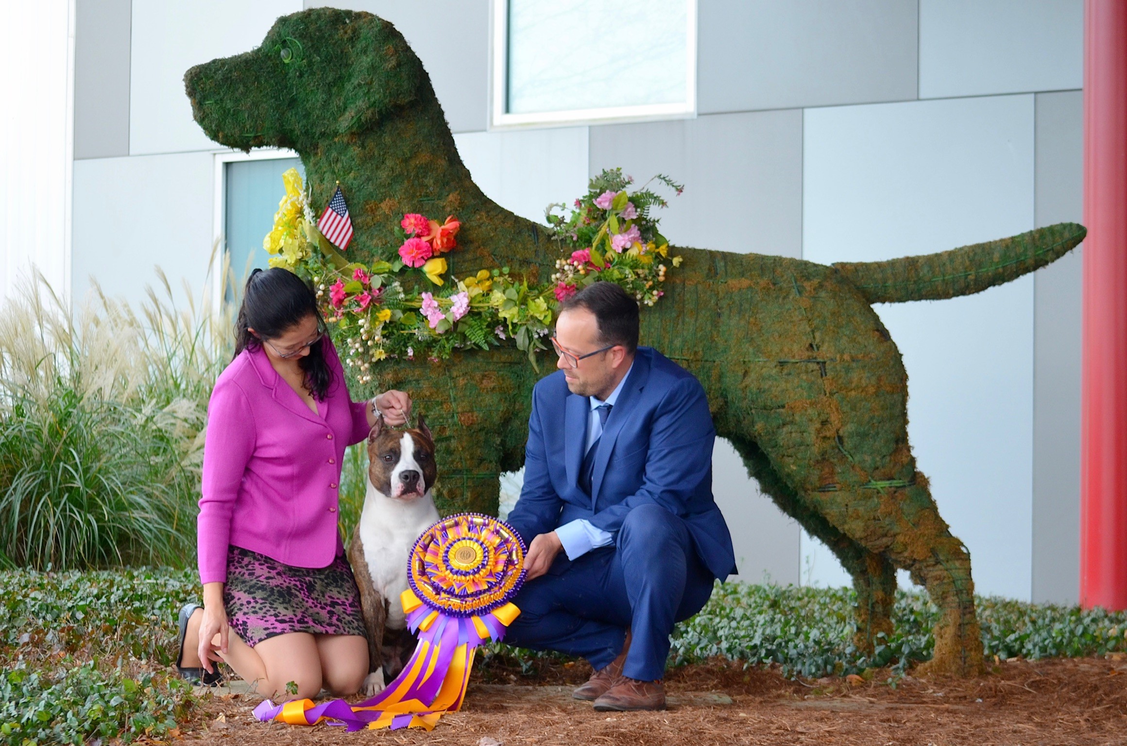 Lacey and Luisma Benítez, breeders of LBK AmStaffs, recognized by the American Kennel Club Lacey and Luisma Benítez, breeders of LBK AmStaffs, recognized by the American Kennel Club