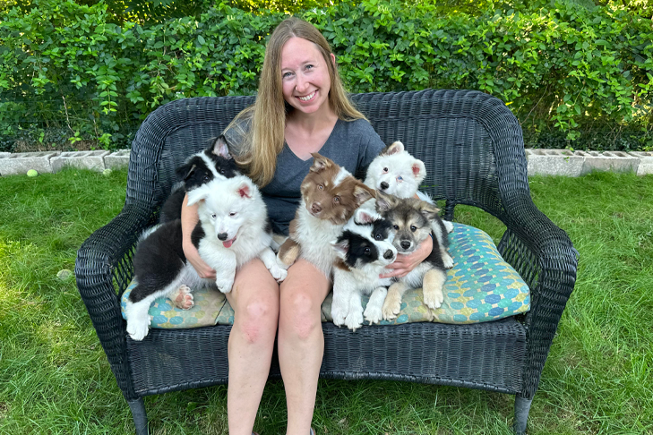 Meet Icelandic Sheepdog Breeder Kayla Stilger of Apricity Icelandics