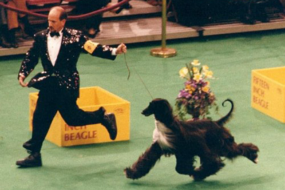 Michael Canalizo and Afghan Hound