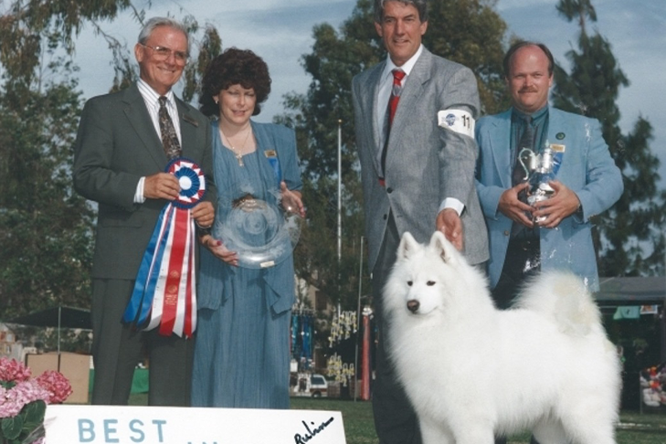Meet California Breeders Alan and Jane Stevenson of Oakbrook Samoyeds