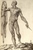 anatomiadelcuerpo.jpg