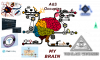 AandSbrainTMH.png