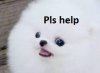 Pls help.jpg