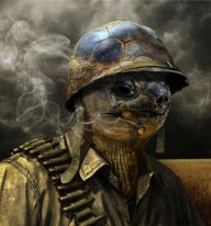 XerTaLT