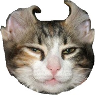 napsteronly