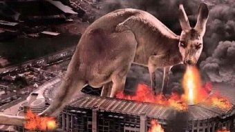 rampagingroo