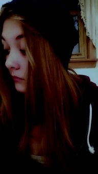 LarkSparrow