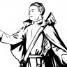 SaintPwn