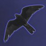 Branwen
