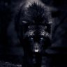 Spyre9