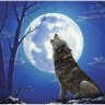 Lone Wolf