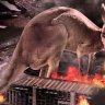 rampagingroo
