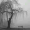 Somber