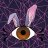 CmdrRabbit