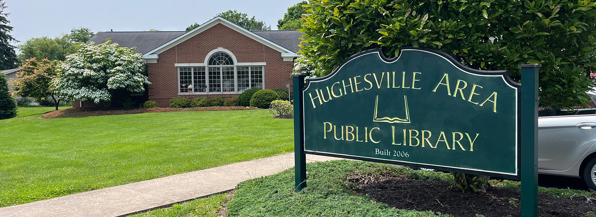 Public Library background image