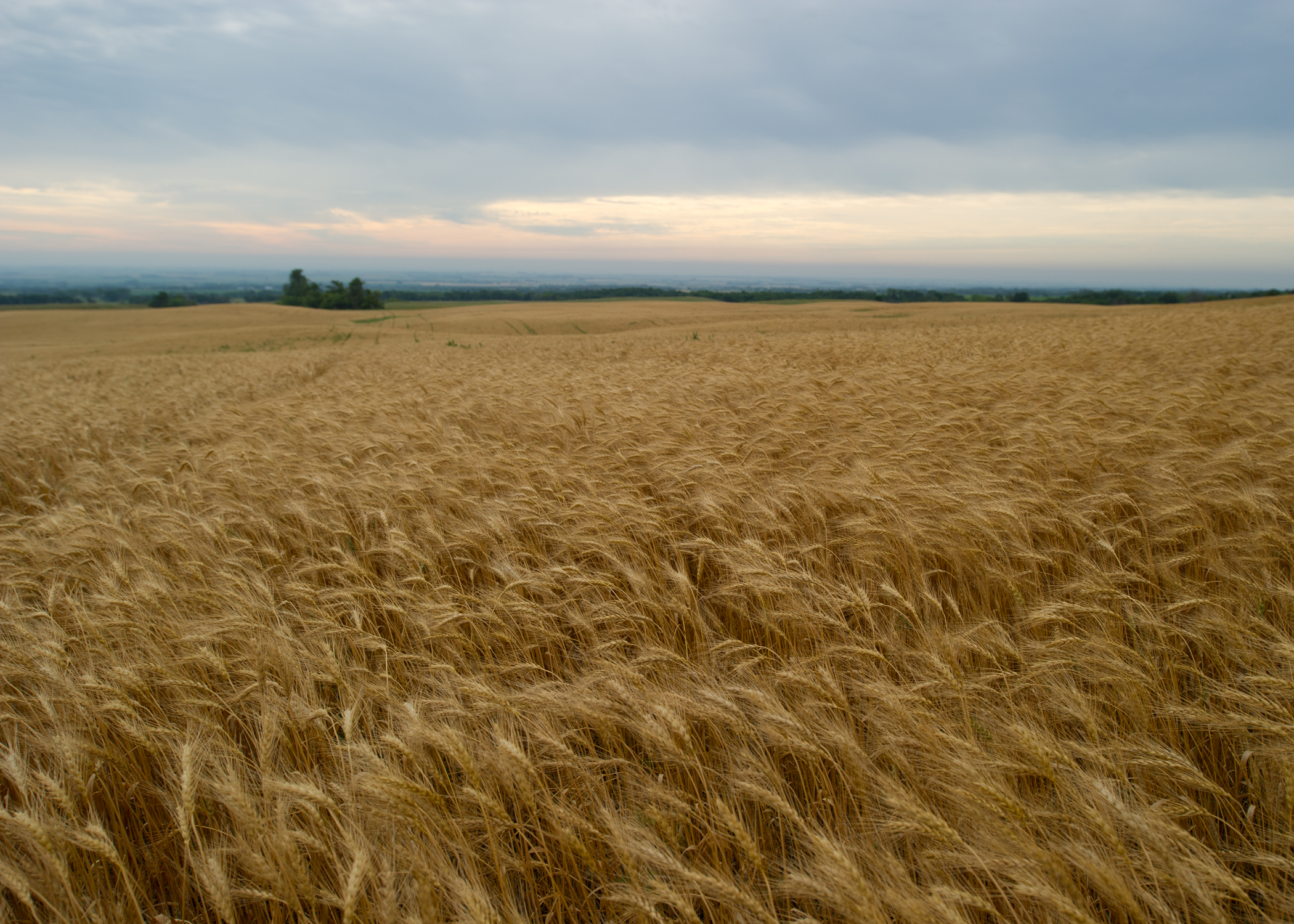 Here are our Products We Offer background image