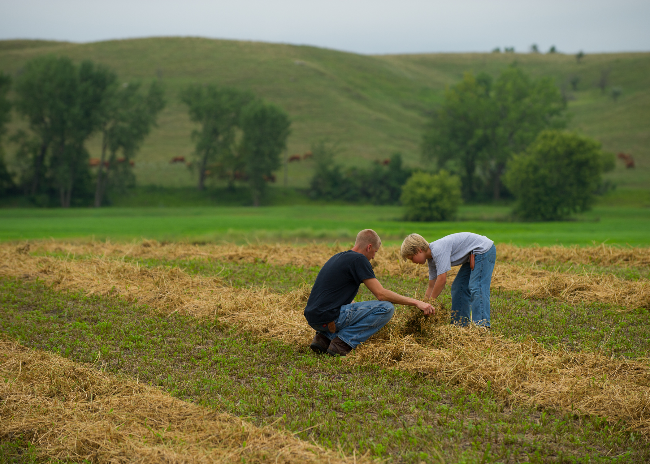 Our History background image