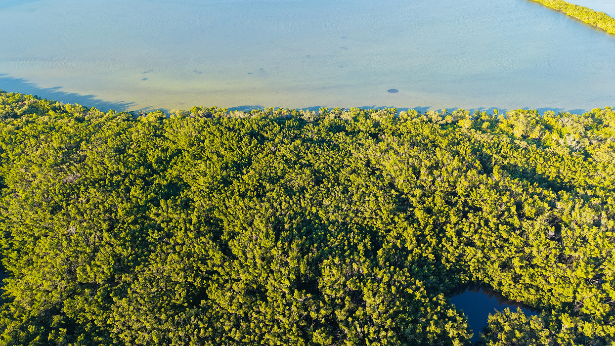 Request a Quote background image