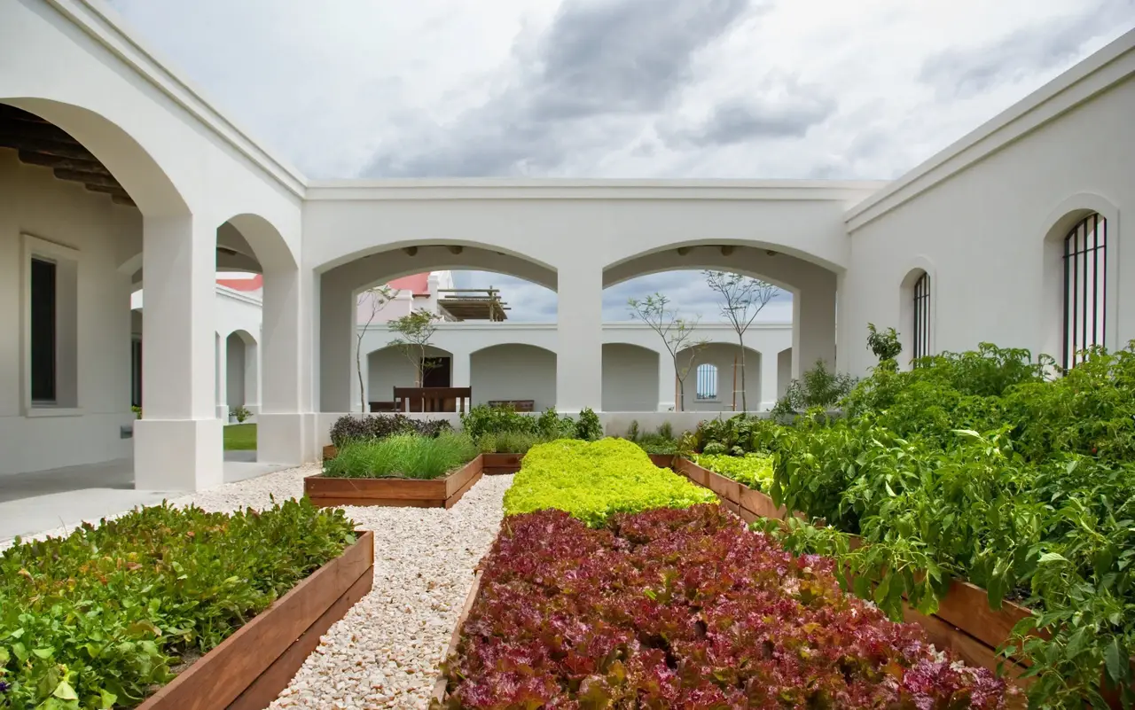 Gallery - 0