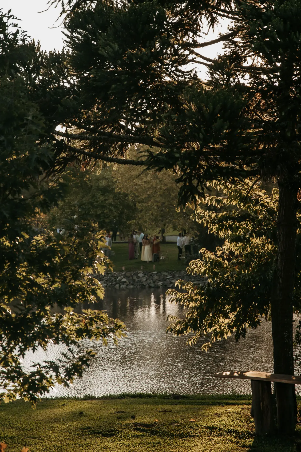 Gallery - 2