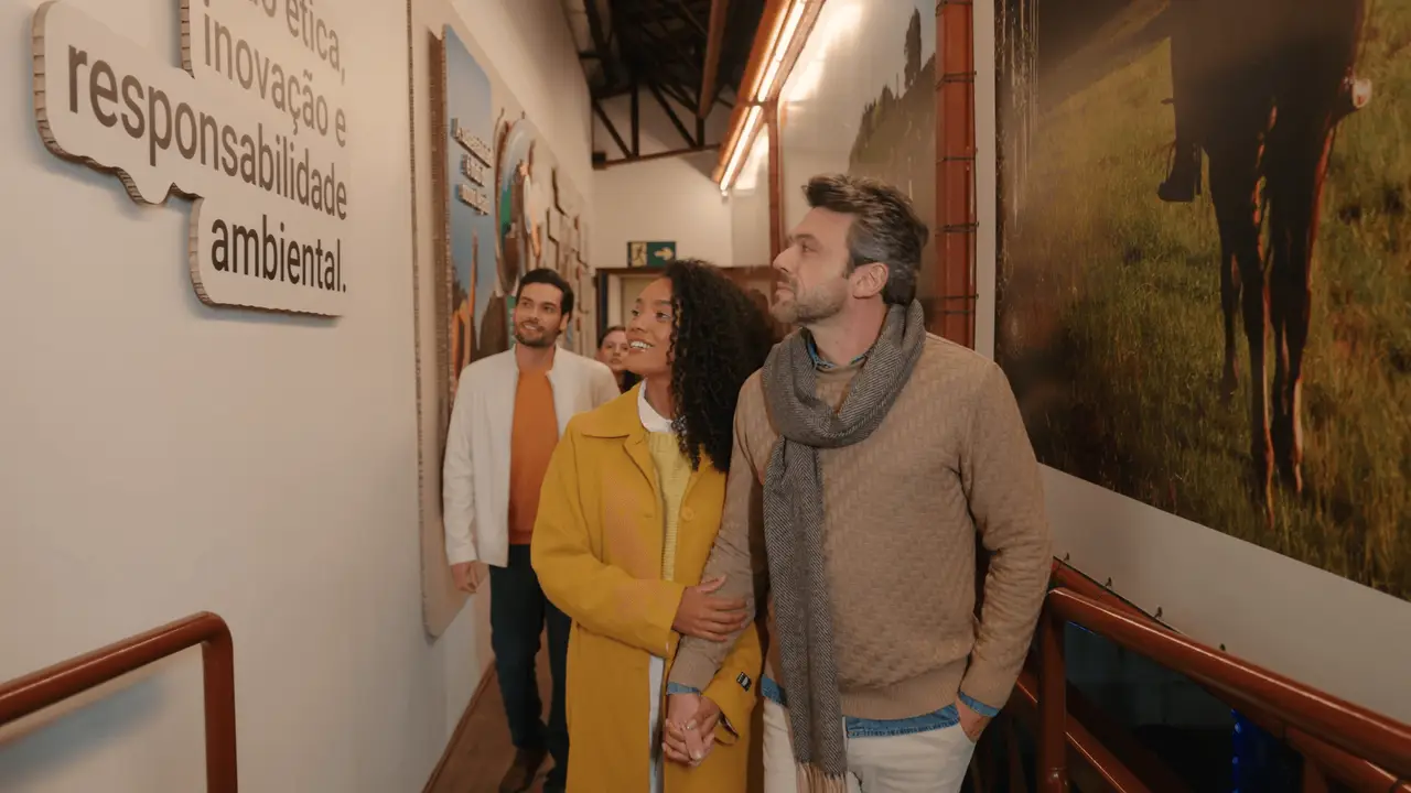 Gallery - 1