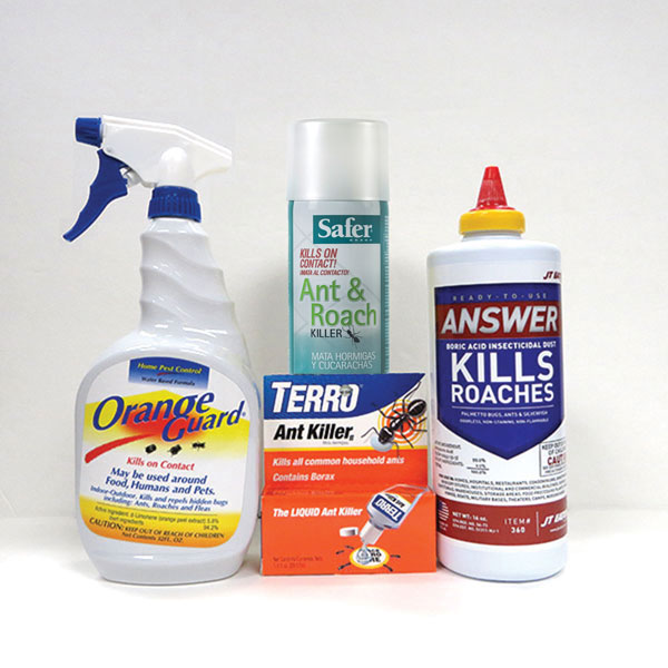 Ant Control Kit For Home & Garden