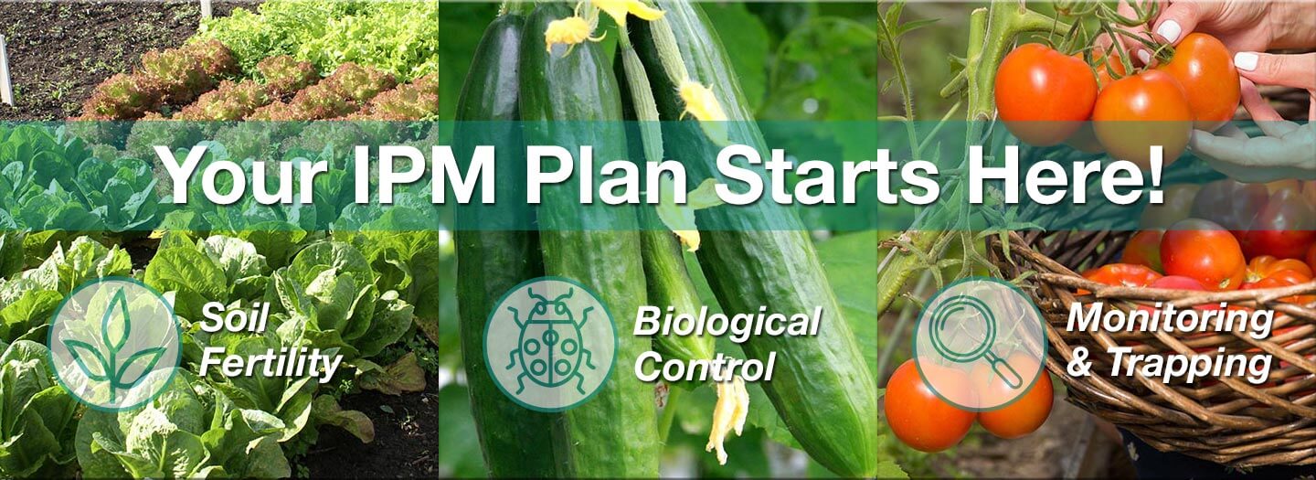 Spring Pest Control Starts Here