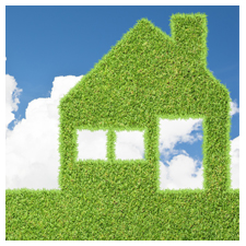 Green Home