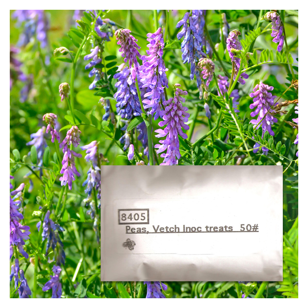 Seed Starting Field Pea & Vetch Inoculant 1/2 lb.