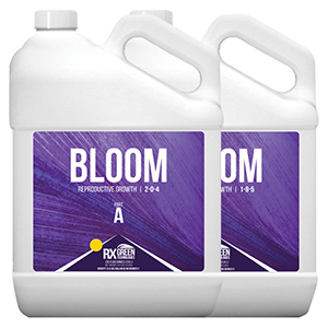 BLOOM A & B