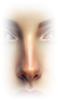 Nose