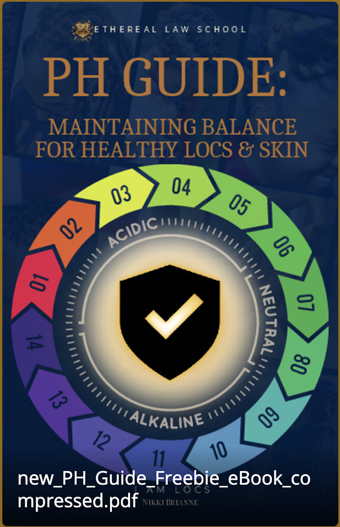 new_PH_Guide_Freebie_eBook_compressed.pdf