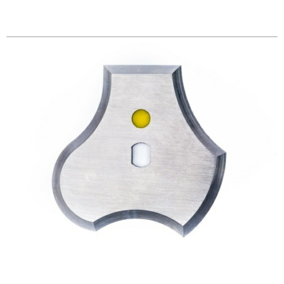 Profile Scraper Replacement Blade