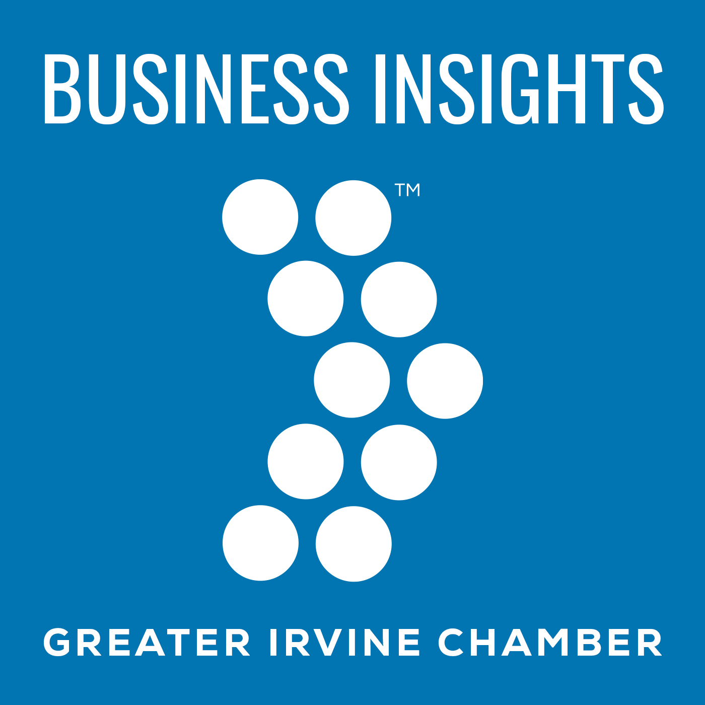 Business Insights Podcast